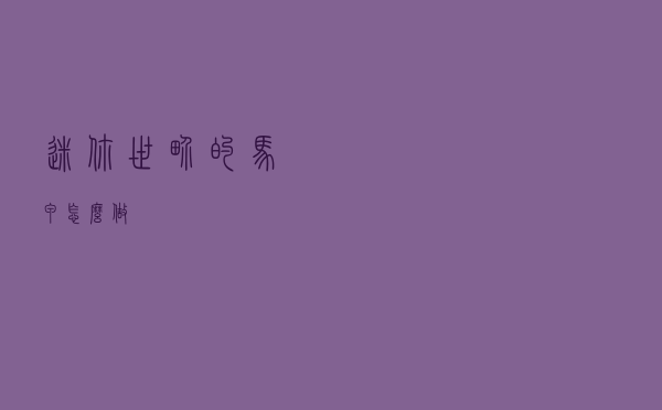 迷你世界的马甲怎么做