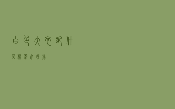 白色大衣配什么样围巾好看