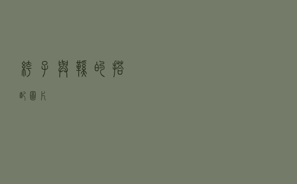 裤子与鞋的搭配图片