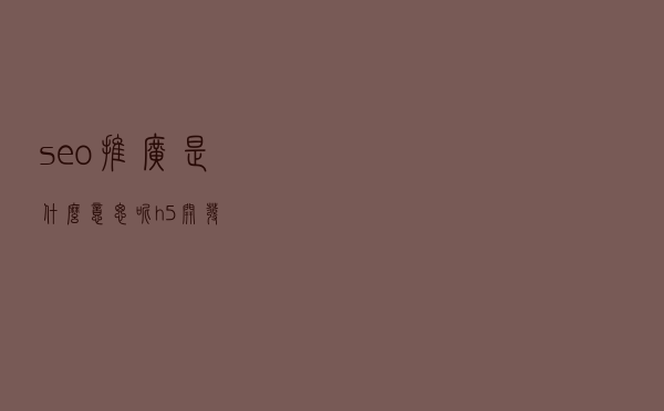 seo推广是什么意思呢（h5开发）