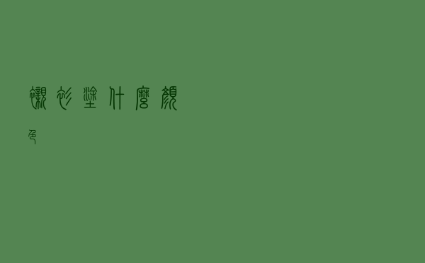 衬衫涂什么颜色