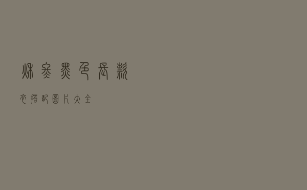 秋冬黑色长款衣搭配图片大全