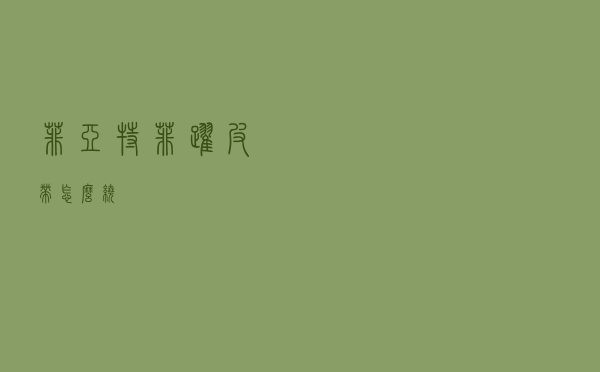 菲亚特菲跃皮带怎么绕