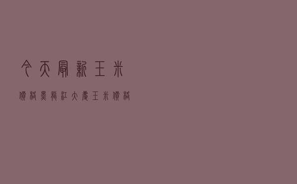 今天最新玉米价格黑龙江_大庆玉米价格