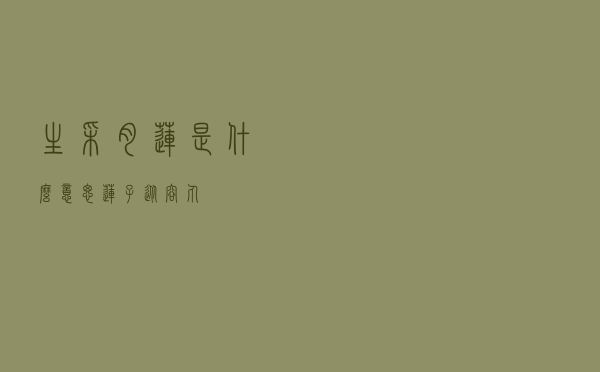 生采肉莲是什么意思，莲子从容丸