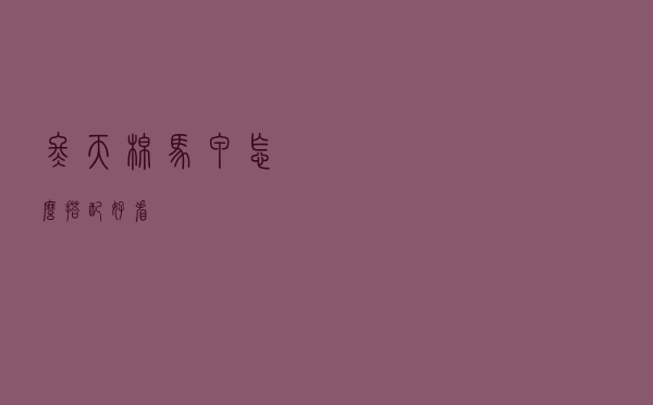 冬天棉马甲怎么搭配好看
