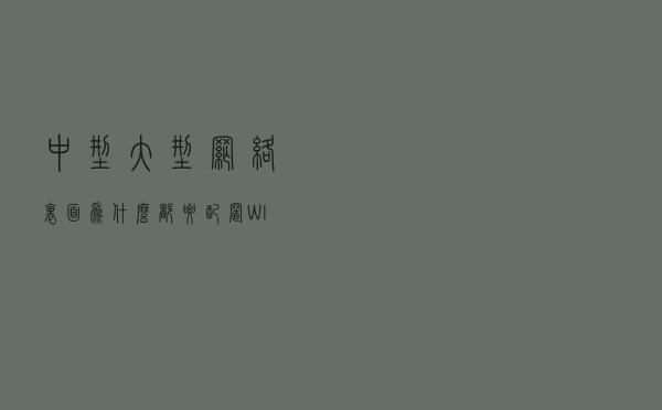 中型、大型网络里面，为什么都要配置WINS服务器呢？