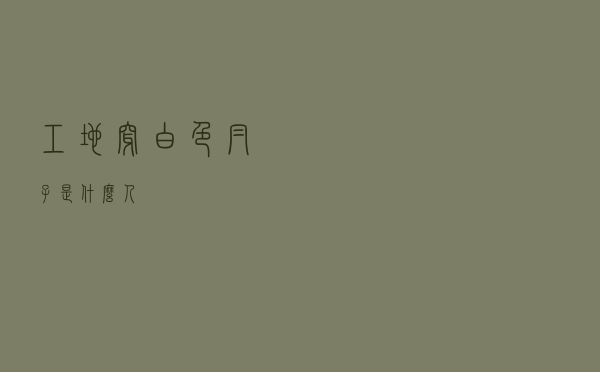 工地穿白色帽子是什么人