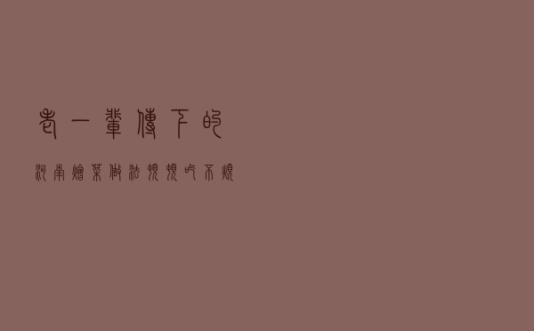 老一辈传下的“河南烩菜”做法，顿顿吃不烦，囤的白菜不够吃了