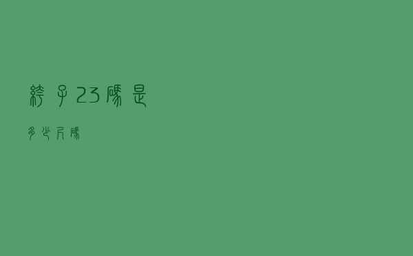 裤子23码是多少尺码