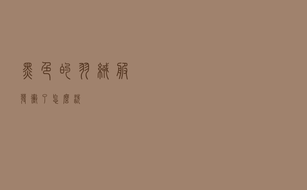黑色的羽绒服发霉了怎么洗