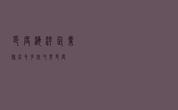 印度海洋企业排名（毛克疾 又见印度）