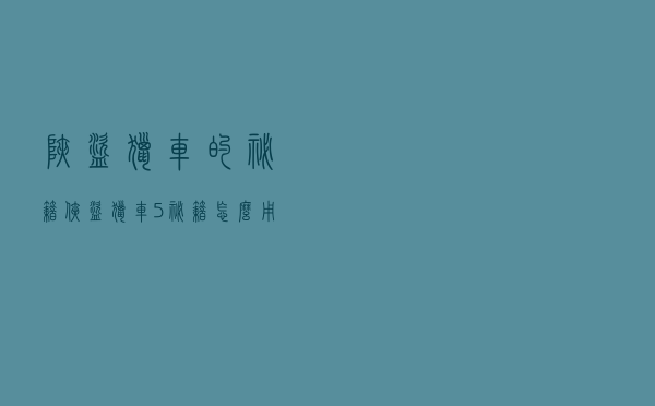 狭盗猎车的秘籍，侠盗猎车5秘籍怎么用