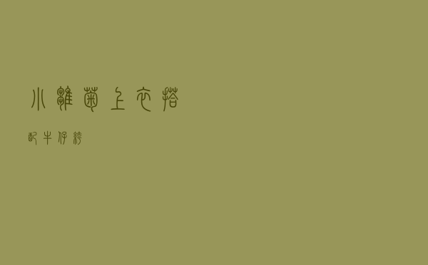 小雏菊上衣搭配牛仔裤