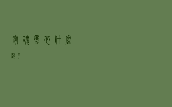 镇魂风衣什么牌子