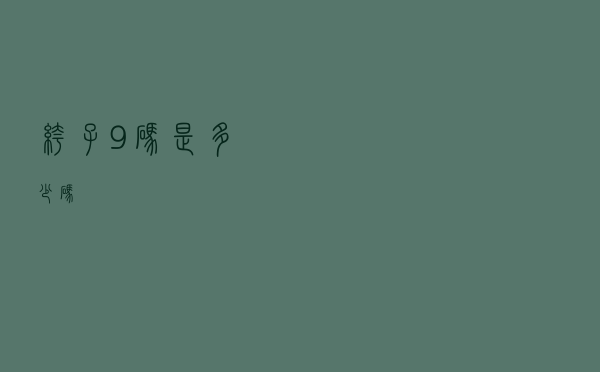 裤子9码是多少码