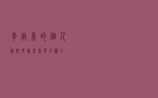李庚希的个人资料「李康希乔英子图片」