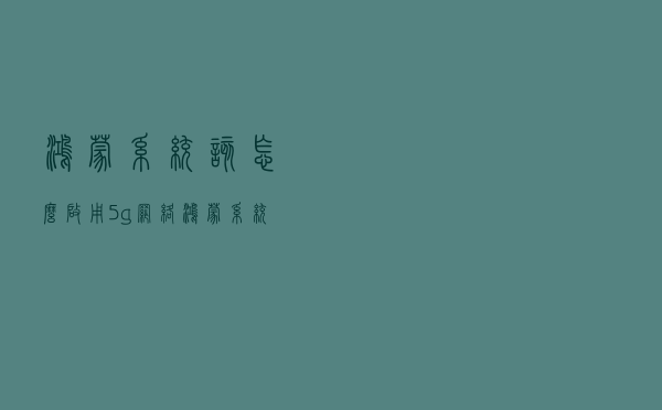 鸿蒙系统该怎么启用5g网络 鸿蒙系统启用5g教程分享