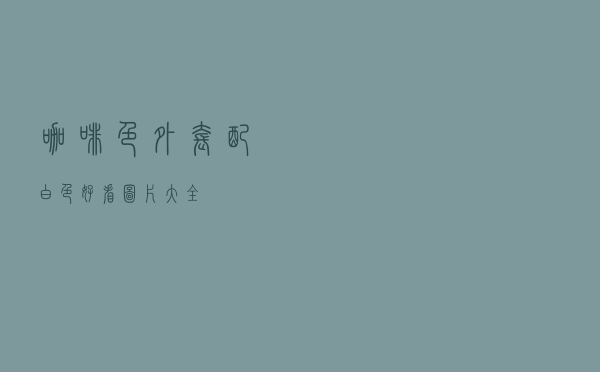 咖啡色外套配白色好看图片大全