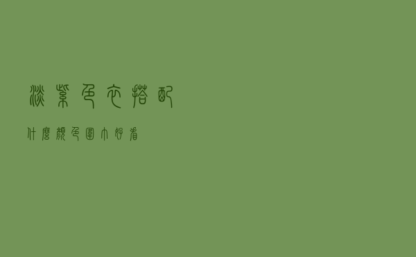 淡紫色衣搭配什么颜色围巾好看