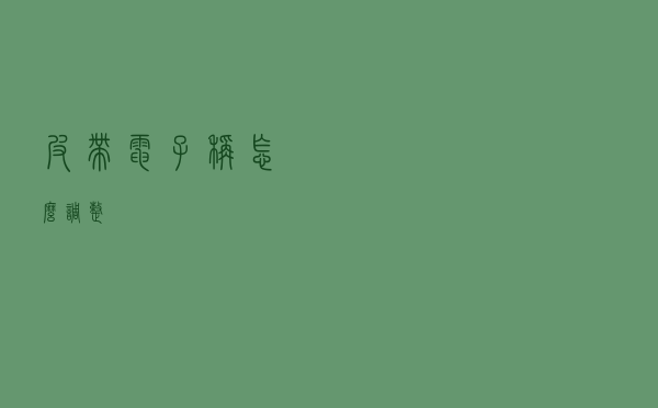 皮带电子秤怎么调整