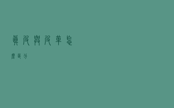 “真皮”与“皮革”怎么区分？