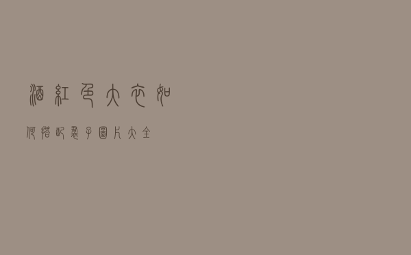 酒红色大衣如何搭配裙子图片大全