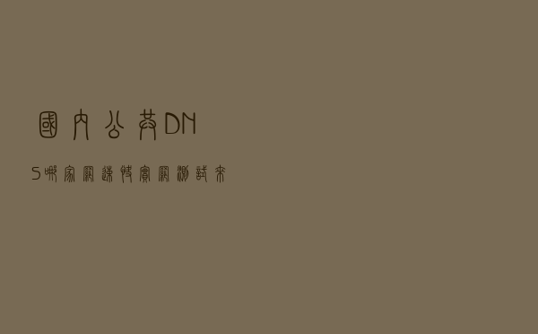 国内公共DNS哪家网速快，实网测试来了
