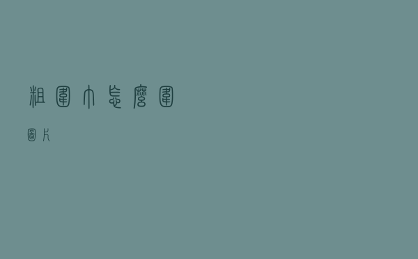 粗围巾怎么围图片