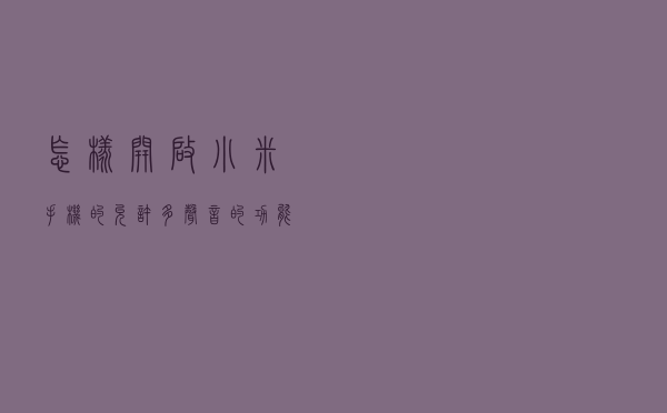 怎样开启小米手机的“允许多声音”的功能？
