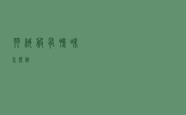 羽绒服有鸭味怎么办