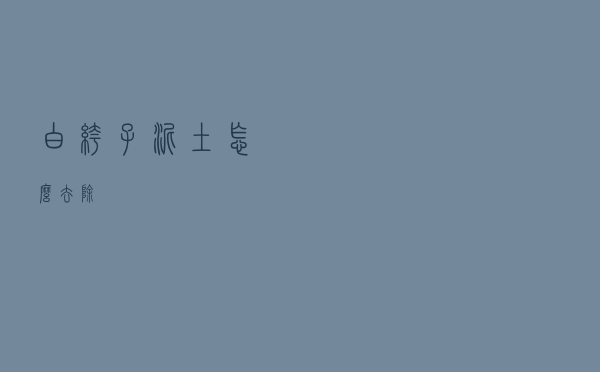 白裤子泥土怎么去除