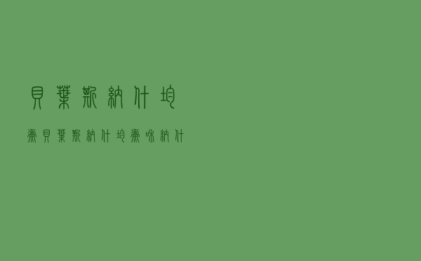 贝叶斯纳什均衡「贝叶斯纳什均衡和纳什均衡」