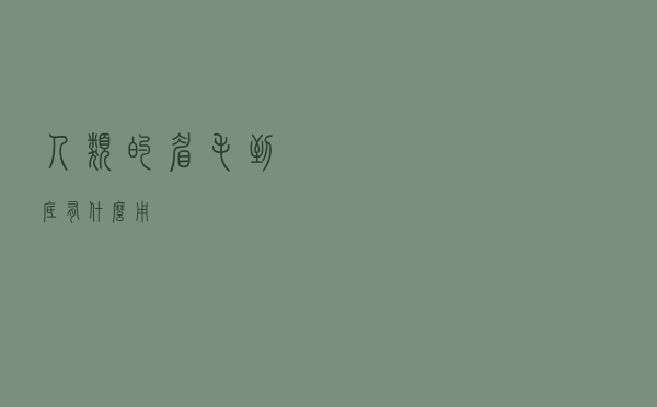 人类的眉毛到底有什么用？