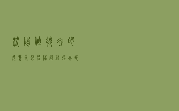 沈阳值得去的免费景点（沈阳最值得去的景点）