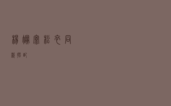 杨幂宽松衣同款搭配