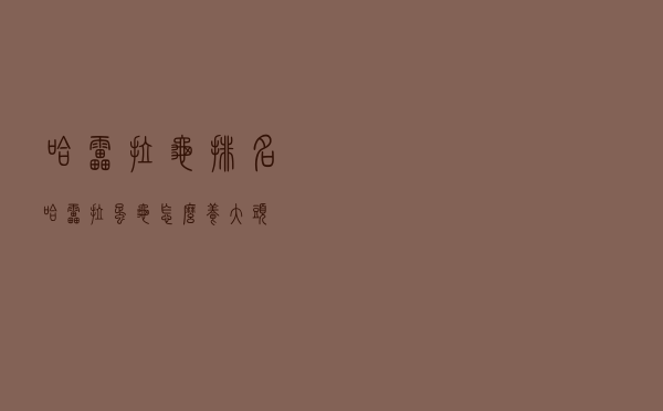 哈雷拉龟排名（哈雷拉蛋龟怎么养大头）