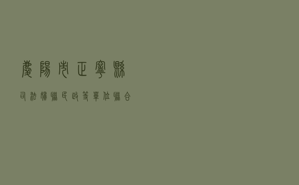 庆阳市正宁县司法 妇联 民政等单位联合开展倡导婚育新风法治宣传活动