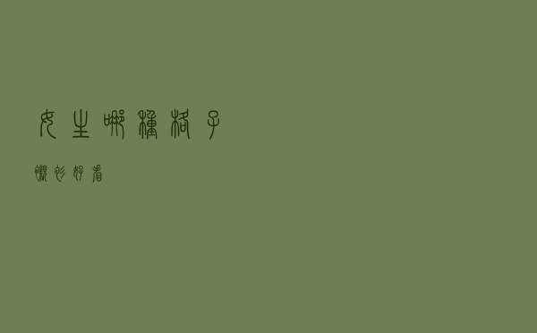 女生哪种格子衬衫好看