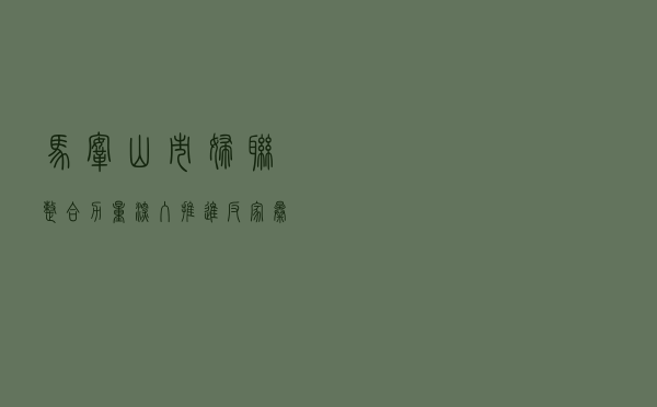 马鞍山市妇联整合力量深入推进反家暴工作扎实开展