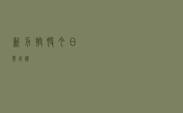 新力控股今日发行价