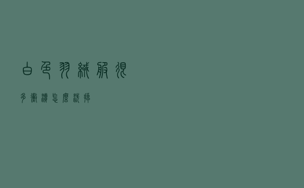 白色羽绒服很多霉渍怎么洗掉