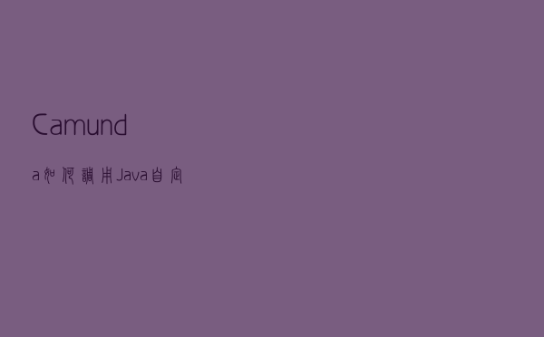 Camunda如何调用Java自定义类