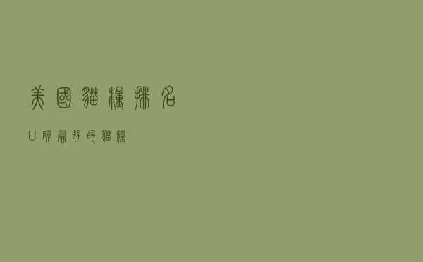 美国猫粮排名（口碑最好的猫粮）