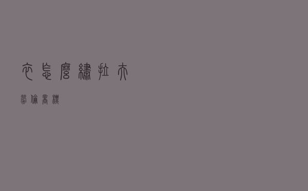 衣怎么绣拉夫劳伦商标