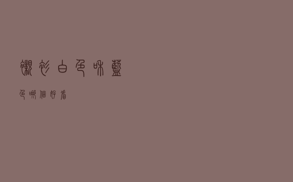 衬衫白色和蓝色哪个好看