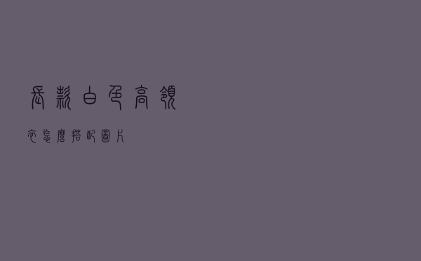 长款白色高领衣怎么搭配图片