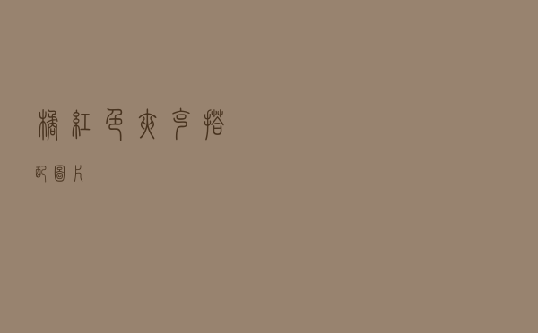 橘红色夹克搭配图片