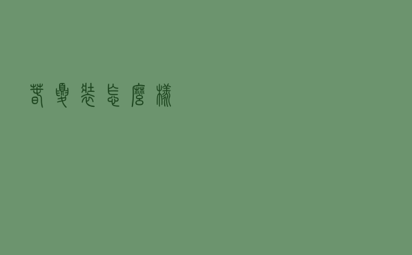春夏装怎么样