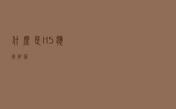 什么是H5应用加固？